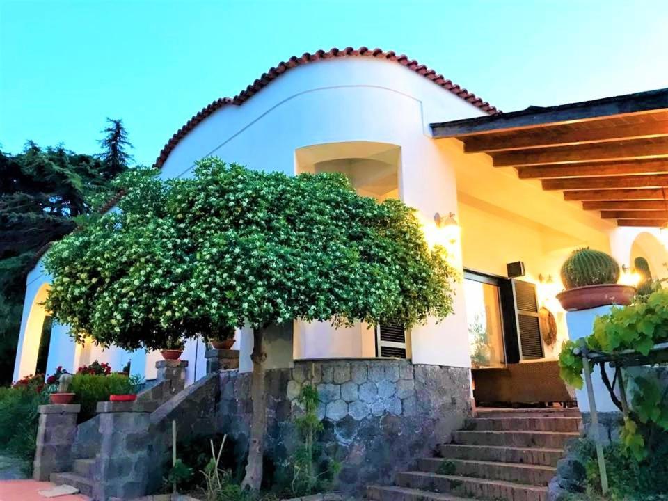 B&B Villa Antica Casamicciola Terme Esterno foto